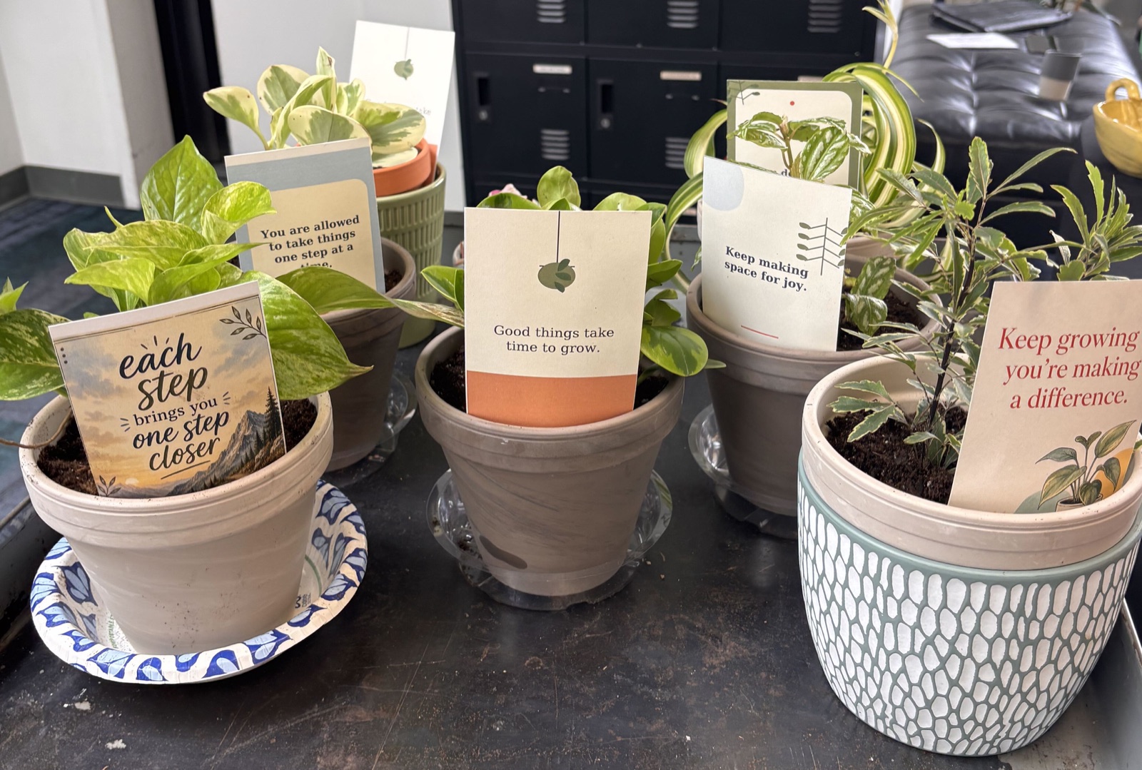 Finished plants paired with encouragement cards from remote volunteers